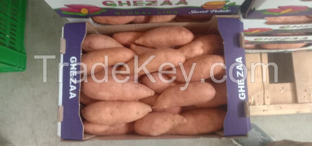 Fresh Sweet Potatoes