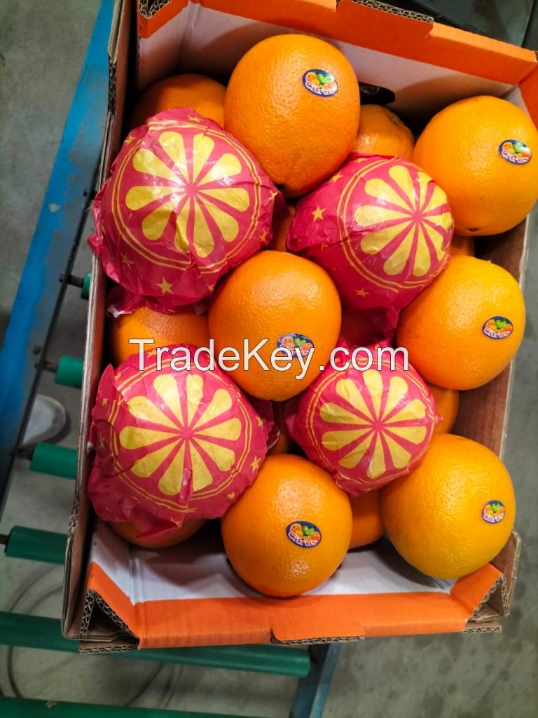 Fresh Oranges