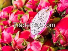 Frozen Dragon Fruit