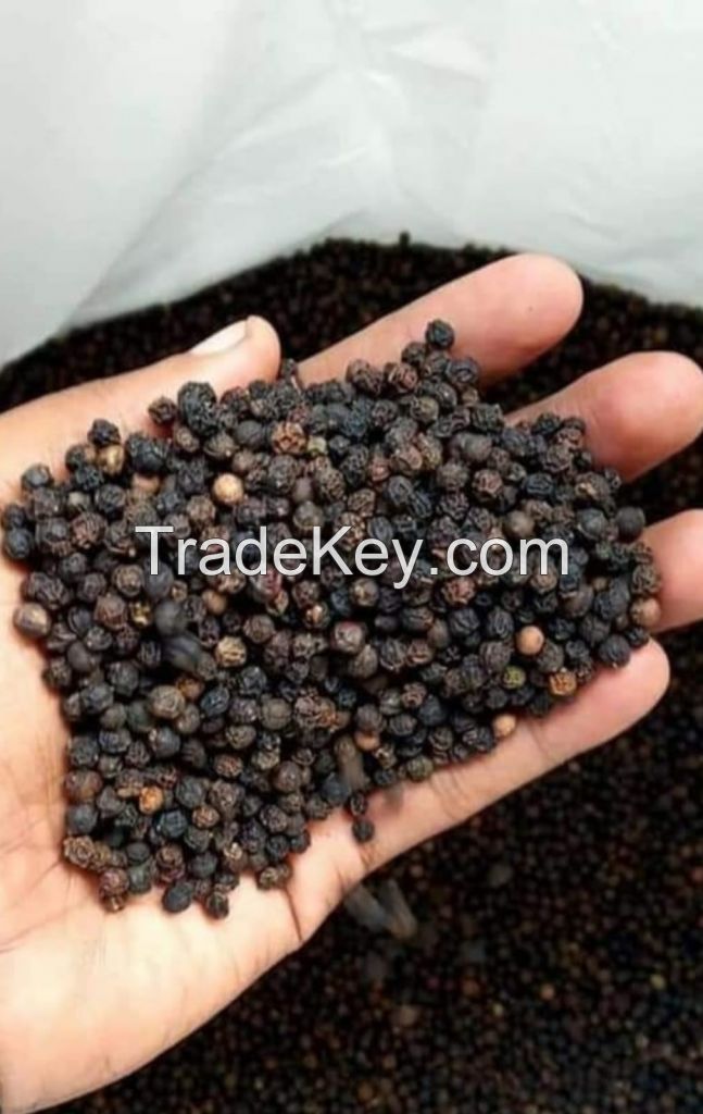 Blackpepper