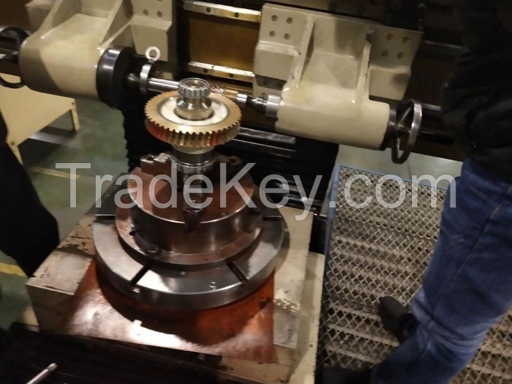 Archimedes worm gear pair customized processing