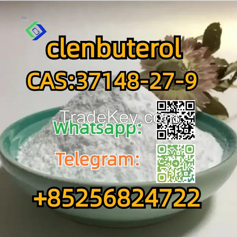 CAS:37148-27-9  clenbuterol 