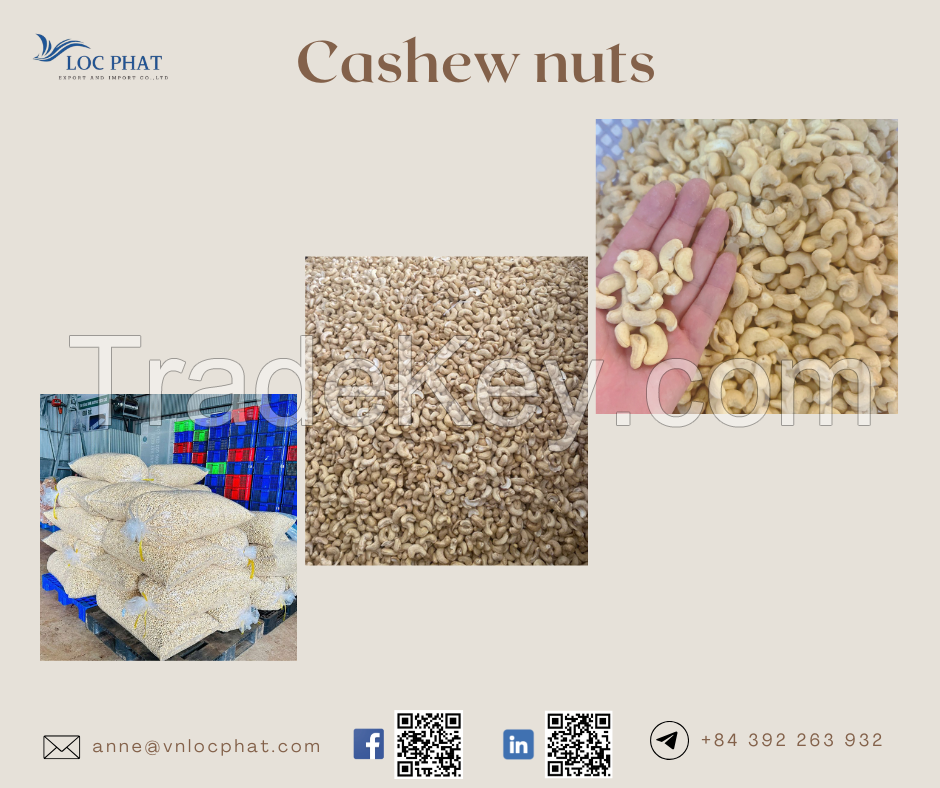 Cashew Nuts Export Worldwide Negotiable Price on Bulk Orders