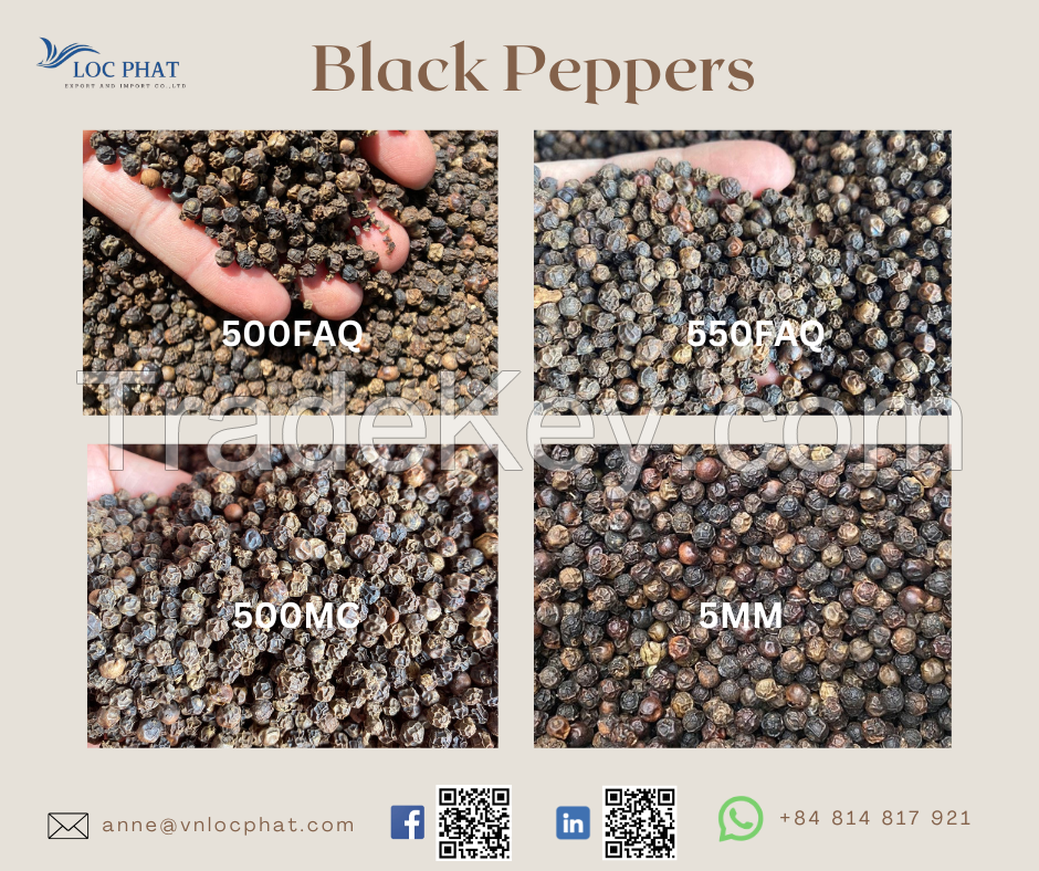 Black Peppers Negotiable Price With Perfect Package From Vietnam