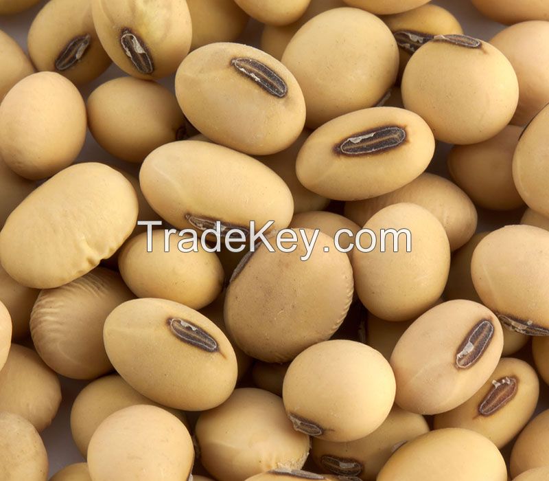 Soybeans