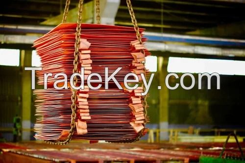 Copper Cathode Best grade AA 99.99% World wide Delivery