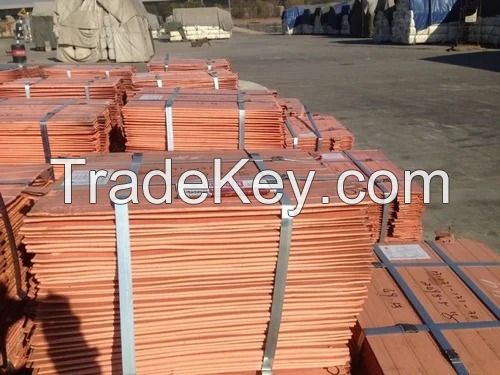 Copper Cathode Best grade AA 99.99% World wide Delivery