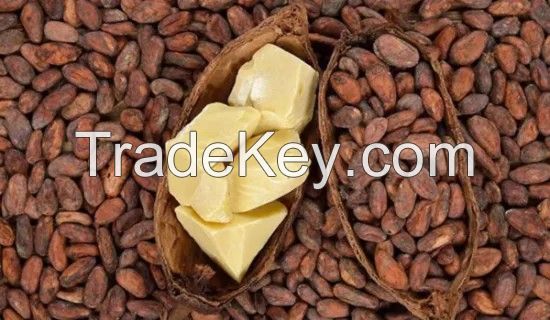 Factory Supply 100% Pure Cocoa Butter/Cocoa Mass