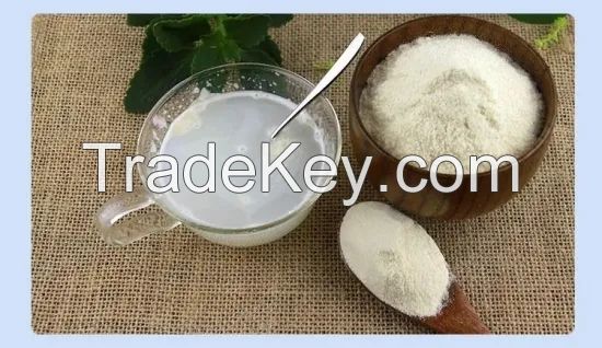 High Quality WPC Powder Whey Protein Isolate Whey Protein Powder