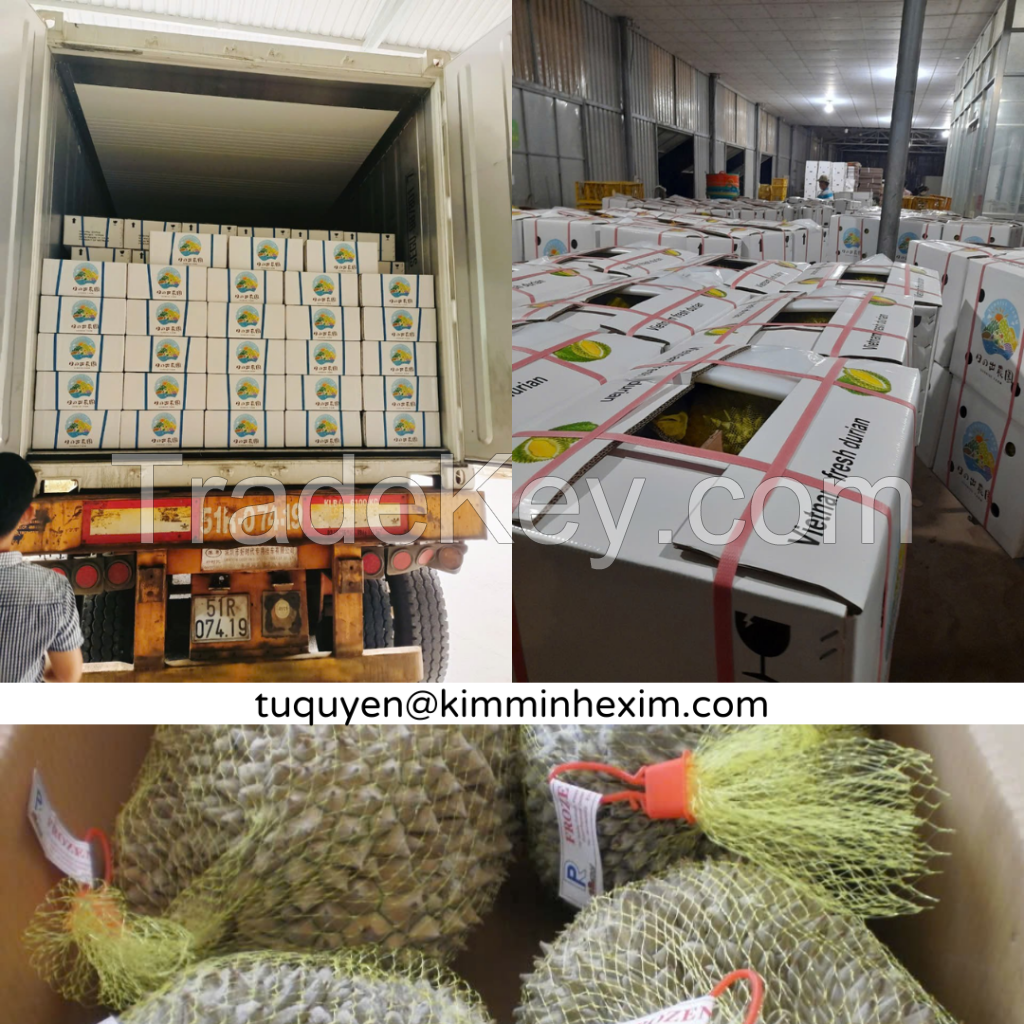 Premium Frozen Durian for International Markets Best Quality From Viet Nam