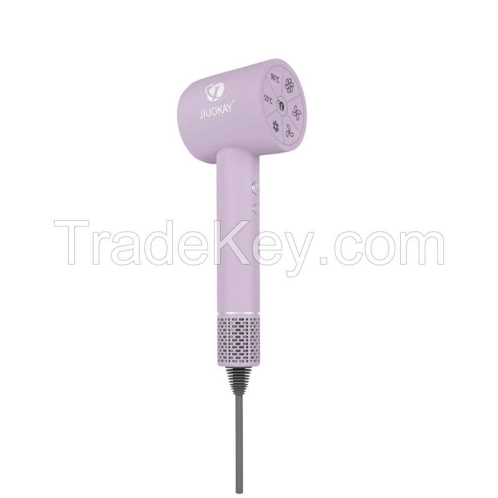 Anion High-speed Hair Dryer