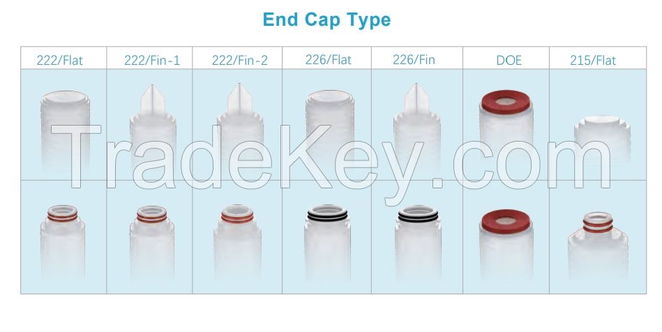 0.22/ 0.45 Micron PES Membrane Folded Liquid Filter Element for Sterile Filtration