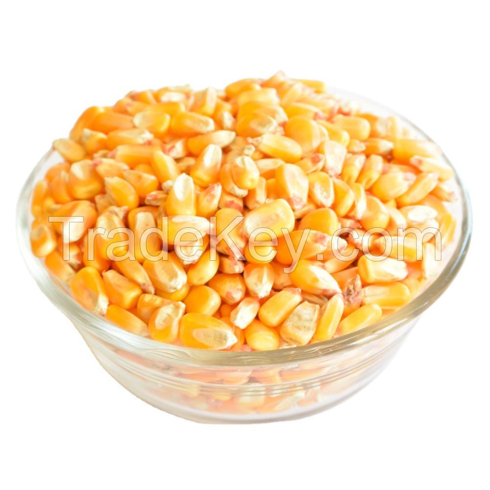 Yellow Corn