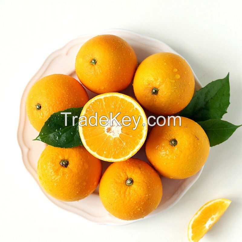 Fresh  Oranges