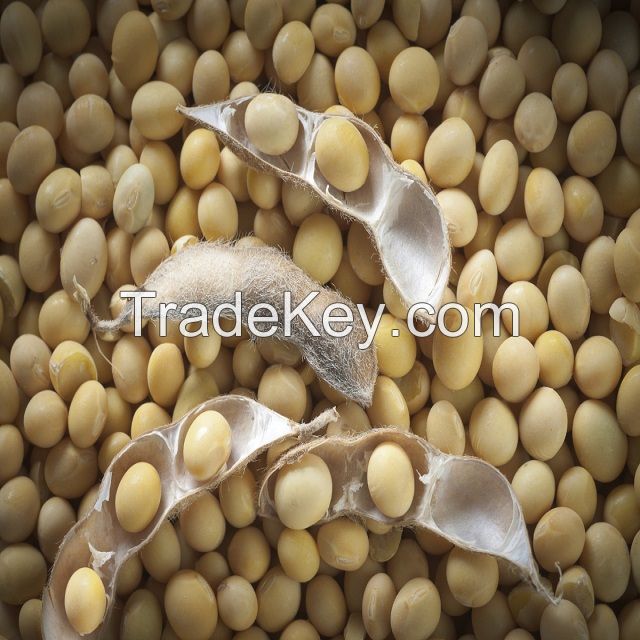 Soybeans