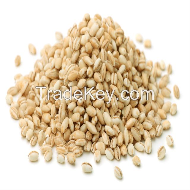 Barley