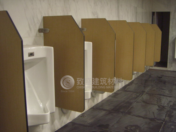 Urinal Partition