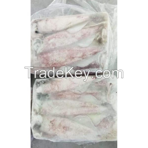 Frozen Loligo Squid &amp; Calamari Squid For Purchaser