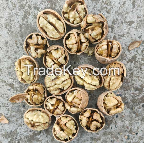 Walnut inshell,walnut kernels