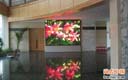 Indoor Full Color LED Display Screen