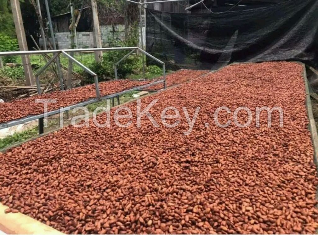 Dried Cocoa available 