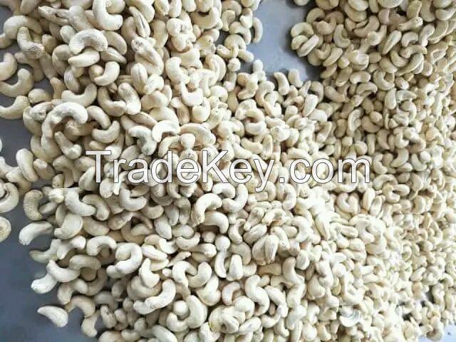 Cashew nuts seeds