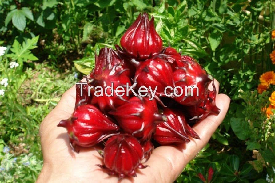 Dried Hibiscus Flower