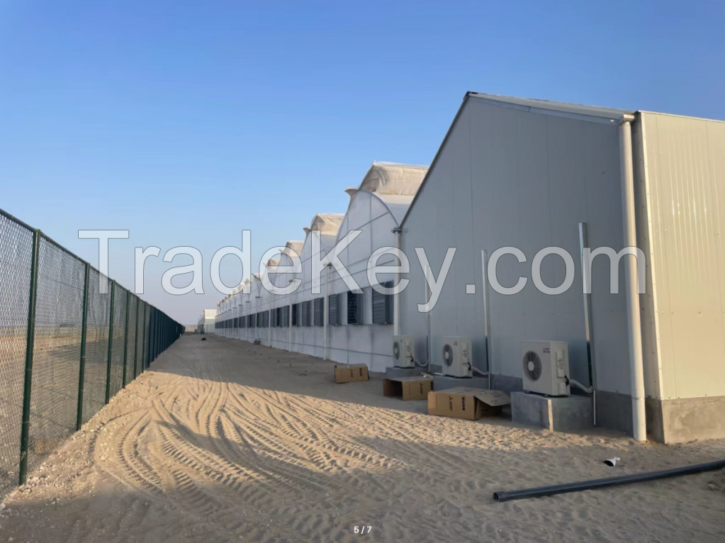 Modern Multi-span Plastic Film Greenhouse with climate control systems for year-round and efficient crop growing