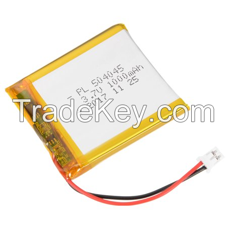 li-polymer battery 