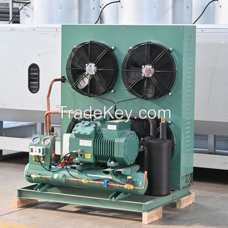 Cold Room Compressor Freezer Condensing Unit Refrigeration Unit