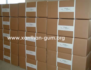 Food Grade Xanthan Gum