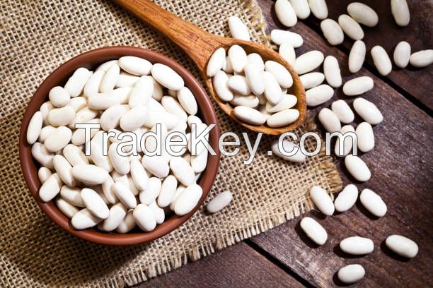 Premium Beans from Ukraine - Wholesale