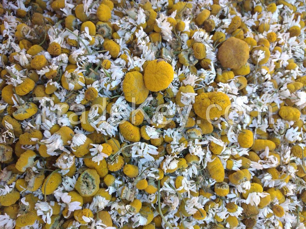 Chamomile Flowers