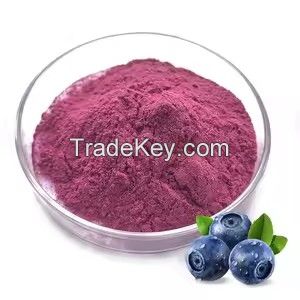 Fruit powder Blueberry Powder Wholesale Price Frozen Dried Organic Blueberry Juice Powder