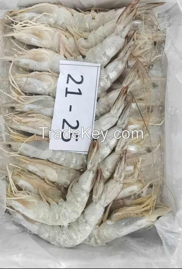 Frozen shrimp vannamei/white leg