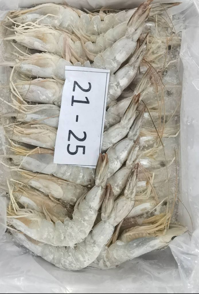 Frozen Shrimp Vannamei/white leg