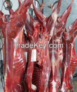 Frozen Beef Meat