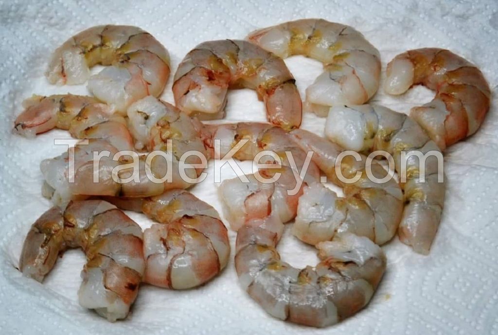 Premium Wholesale Frozen White Shrimp Frozen Red Sea Size M Prawn