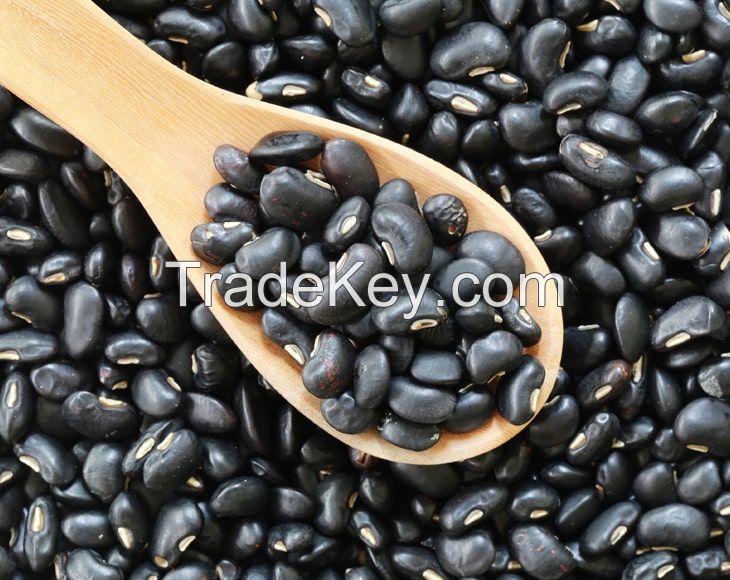 2024 Organic Black Kidney Bean Black Beans Price