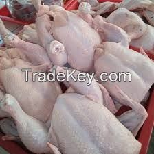 Top Quality Halal Frozen Whole Chicken with Good Price Poultry Farm