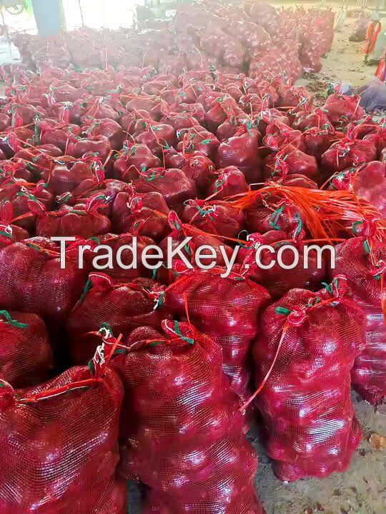 fresh Cheap onion good quality lower price fresh red onion from factory Best Price