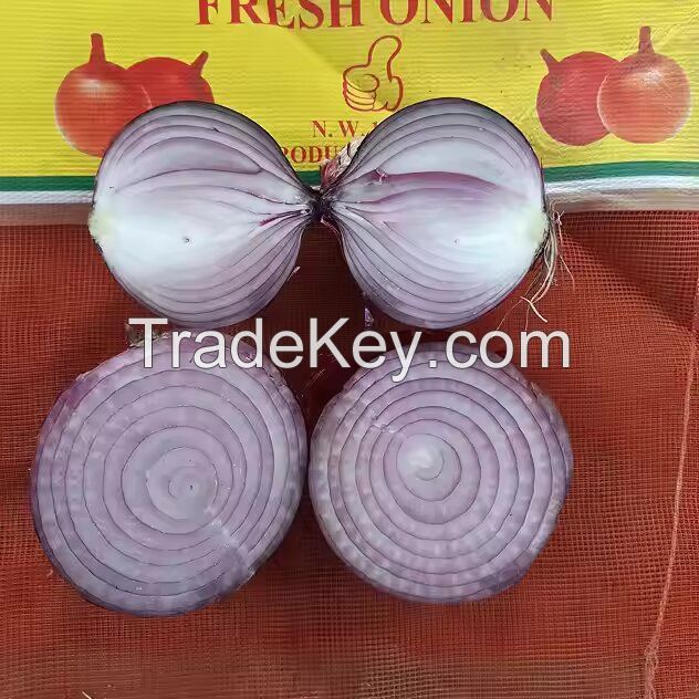 fresh Cheap onion good quality lower price fresh red onion from factory Best Price