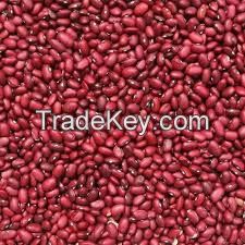 Quality Red Kidney Beans / Red Beans Price / Kidney Beans For Sale