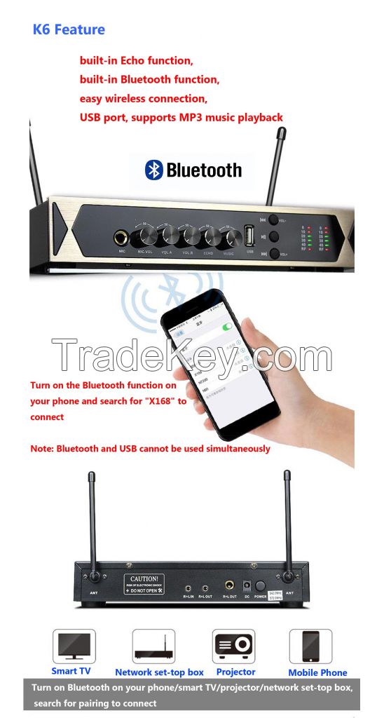 K6 Family style Wireless Microphone UHF,with USB,Echo and Bluetooth