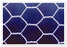 Hexagonal Wire Netting