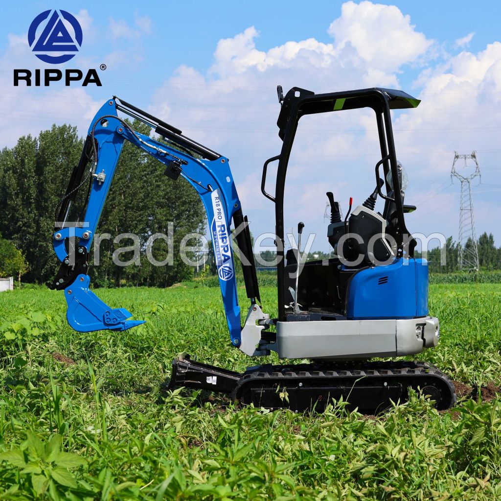 RIPPA Excavators Earth Moving Machinery Custom Mini Bagger Hydraulic Diesel Micro Digger For Sale