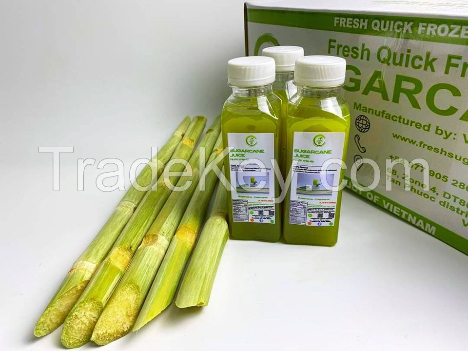 Frozen sugarcane VIET GOODS TRADE