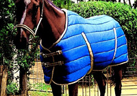 Indoor Horse Rugs