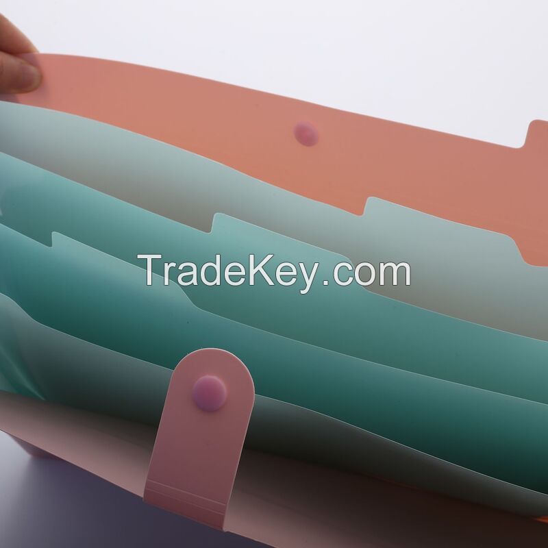 5 Pockets Expanding File Folder