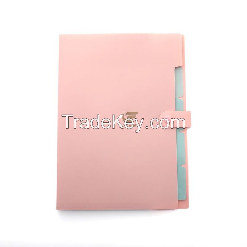 5 Pockets Expanding File Folder